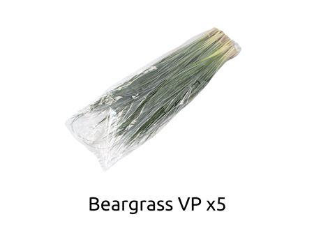 <h4>Xerophyllum tenax Beargrass per bos</h4>