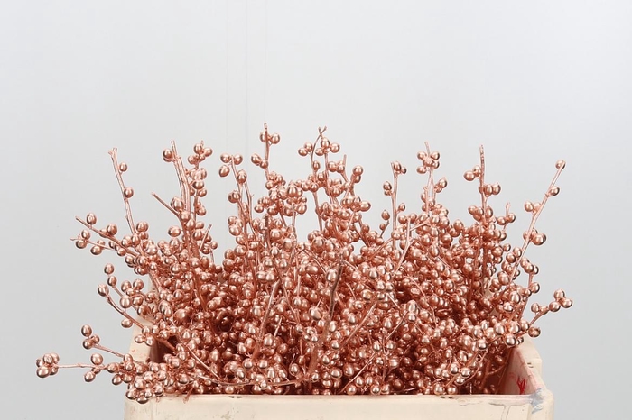 <h4>Ilex Kl Bh Koper</h4>