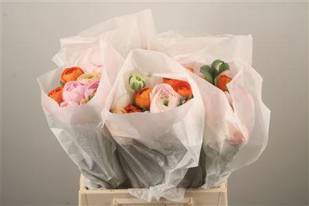 <h4>Ran Su Mixed</h4>