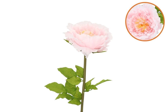 <h4>Silk Amazing Peony Beauty Light Pink Xl 38x115cm</h4>