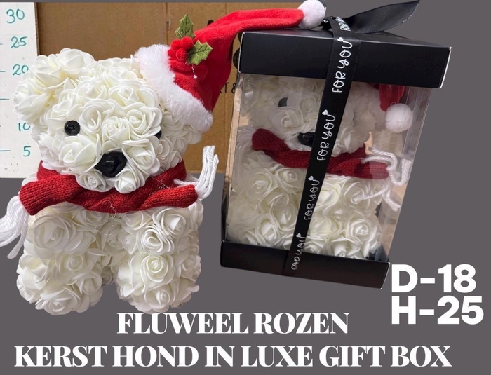 <h4>HUIS EN TUINDECO H%</h4>