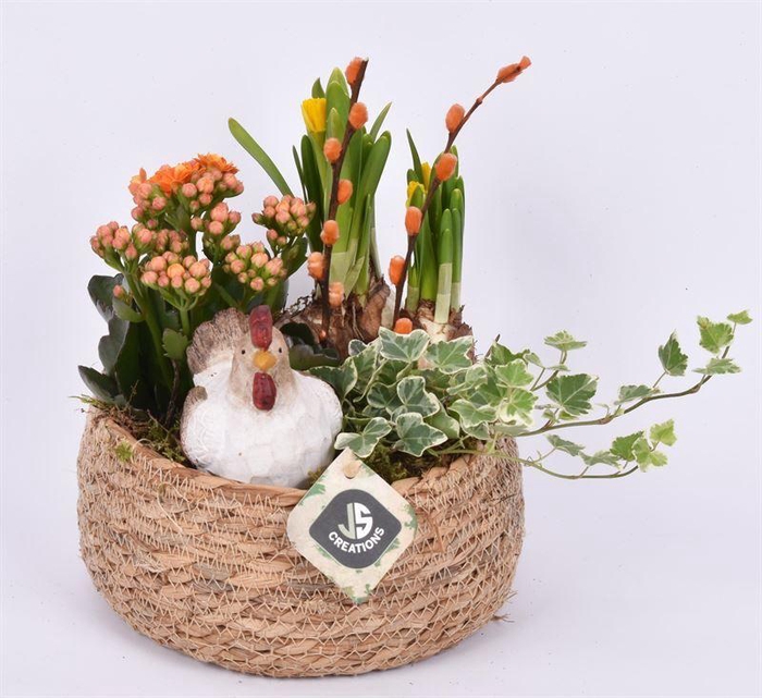 <h4>Touwmand laag 19,5cm</h4>