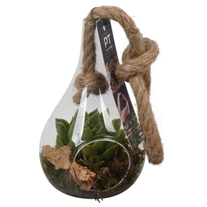 PTGIG2121 Arrangement Greens in glass in glazen druppelvorm