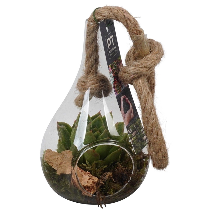 <h4>PTGIG2121 Arrangement Greens in glass in glazen druppelvorm</h4>