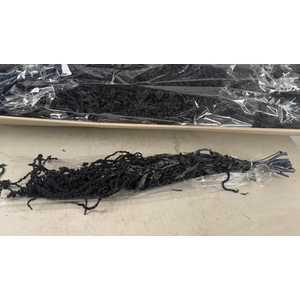 PF Amaranthus Hang Black Bs