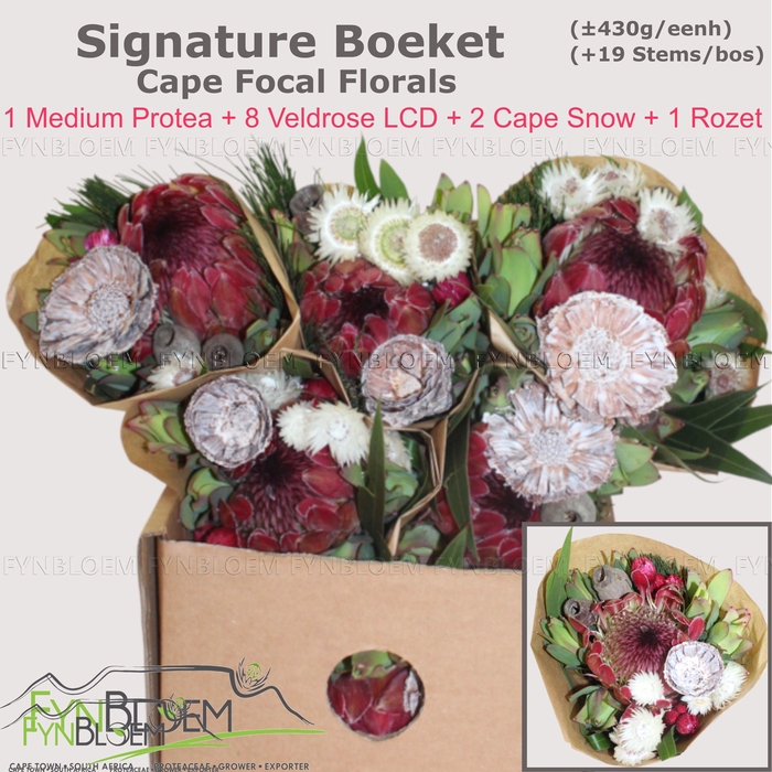 <h4>PROTEA PER BOS</h4>