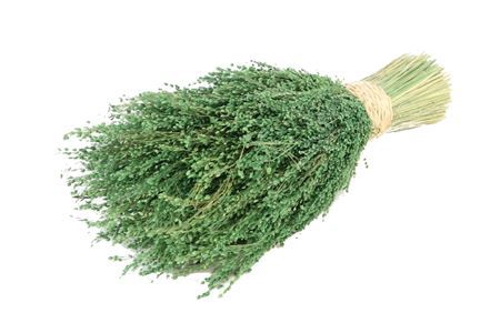 <h4>Sheaf Stargrass L30d10</h4>