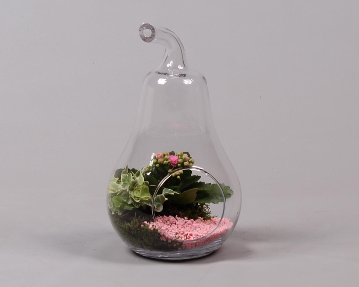 <h4>Glazen peer met Arrangement D17 H30</h4>