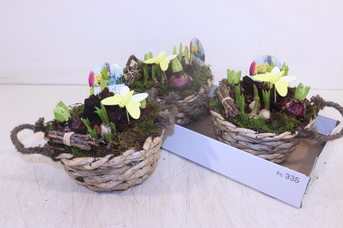 <h4>ARR BOL KNOLGEWAS</h4>