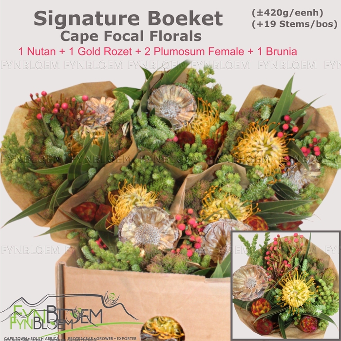 <h4>PROTEA PER BOS</h4>