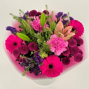 Bq Volume Voltage Purple M