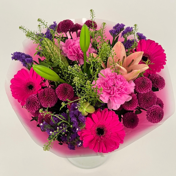 <h4>Bq Volume Voltage Purple M</h4>