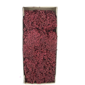 Dried Pepper Berries Bordeaux