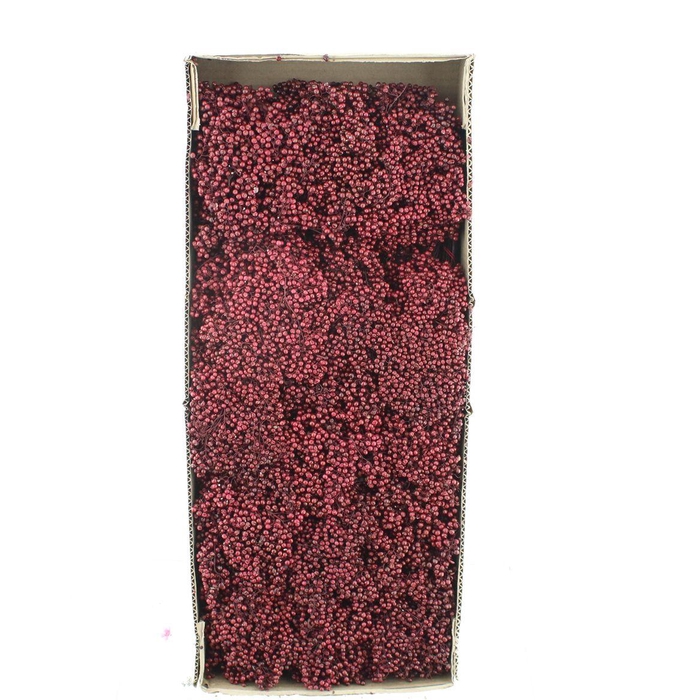 <h4>Dried Pepper Berries Bordeaux</h4>