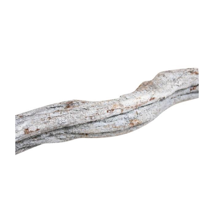 <h4>Branch Cipo Rosca L200D4</h4>