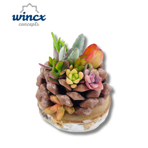 <h4>Concepts® - Pinecone Arrangement (l) Concepts®</h4>