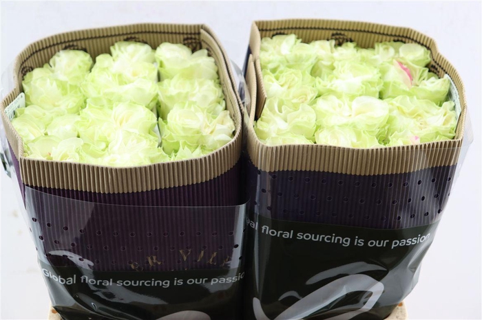 <h4>R Gr Country Soul</h4>