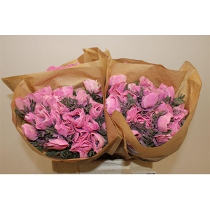 Anem Marianne Powder Pink