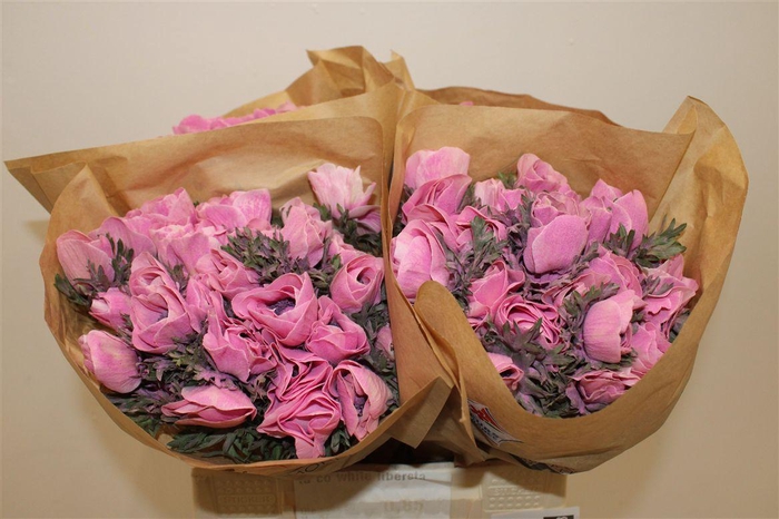 <h4>Anem Marianne Powder Pink</h4>