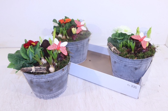 <h4>ARR TUINPLANTEN</h4>