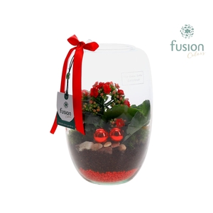 Green Bottle Isabella Small Kerst met Kalanchoe