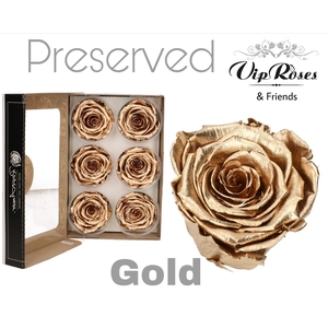 R Preserved Gold
