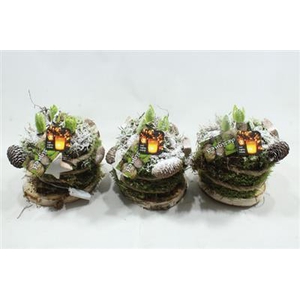 H145 X5 SCHORSTAARTJE