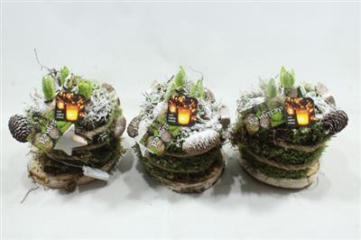 <h4>H145 X5 SCHORSTAARTJE</h4>