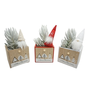 Kerstbox Wood opgemaakt met 'natural' Senecio Mont Blanc