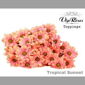 CHR T TROPICAL SUNSET