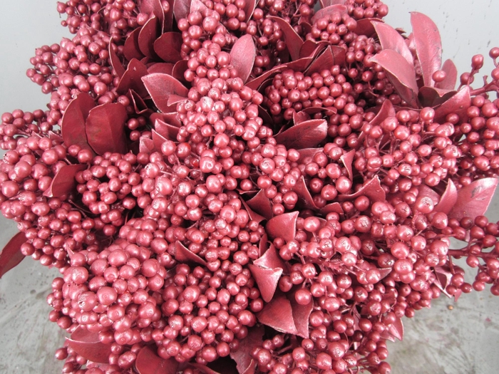 <h4>Skim J A Pabella Metallic Rood</h4>