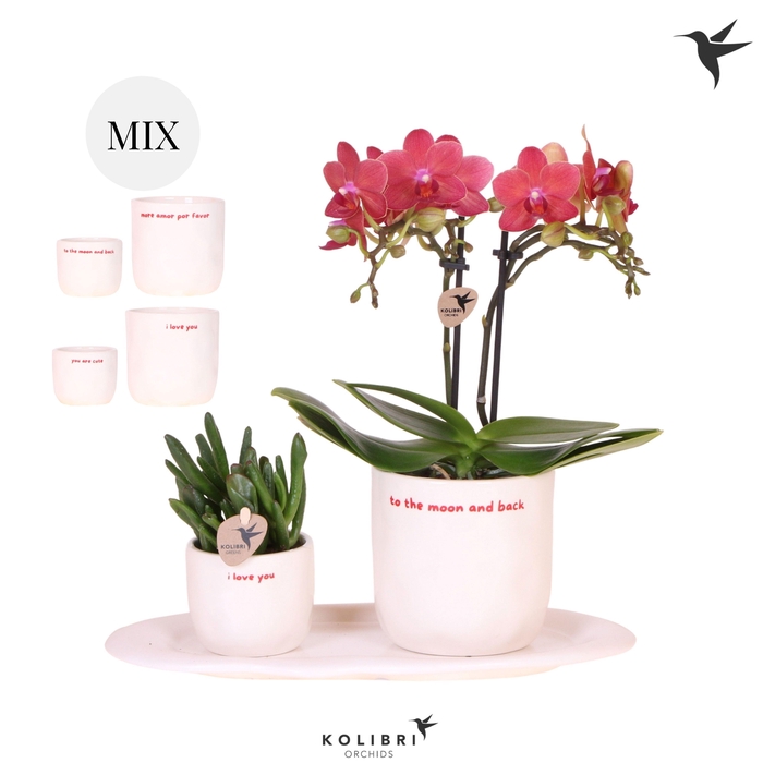 <h4>Kolibri Gift Set small Love</h4>