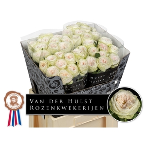 R Gr Bal Dream Summerhouse Hulst