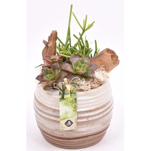 Keramiek sierpot bruin/creme 14cm