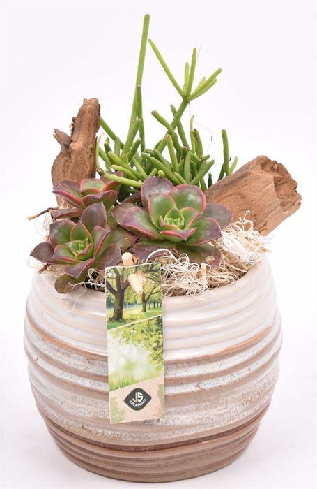 <h4>Keramiek sierpot bruin/creme 14cm</h4>