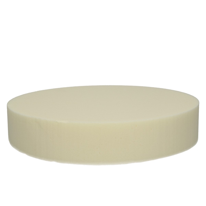 <h4>Oasis Color Cake d25*5cm</h4>