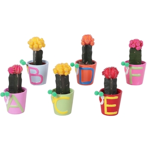 Thank you Teacher Arr. Cactus Ceramic Pot ABC Ø07cm 1PP