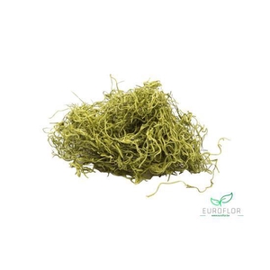 TILLANDSIA NATURAL 400GR