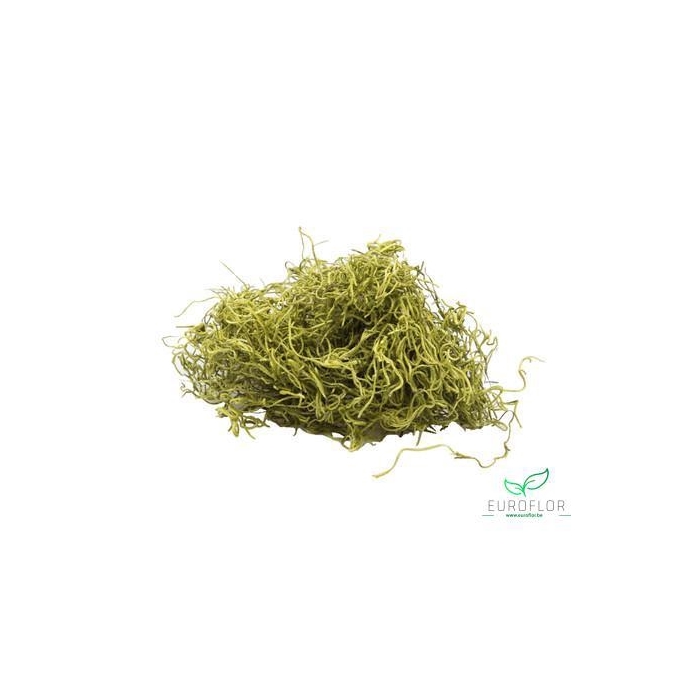 <h4>TILLANDSIA NATURAL 400GR</h4>