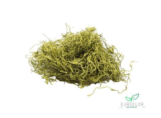 TILLANDSIA NATURAL 400GR