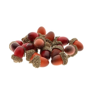Acorn 20Pcs