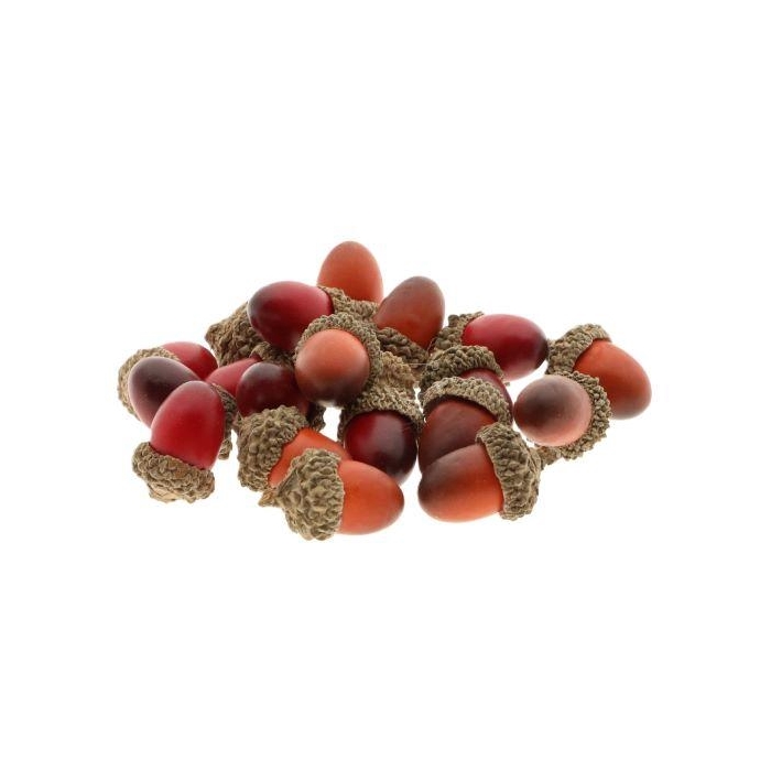 <h4>Acorn 20Pcs</h4>