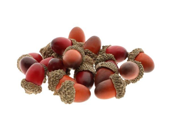 Acorn 20Pcs