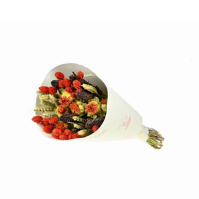 <h4>Bouquet smart savannah</h4>