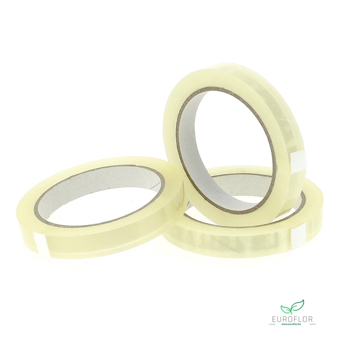 OASIS PLAKBAND 15MM*66M TRANSP 6ROL