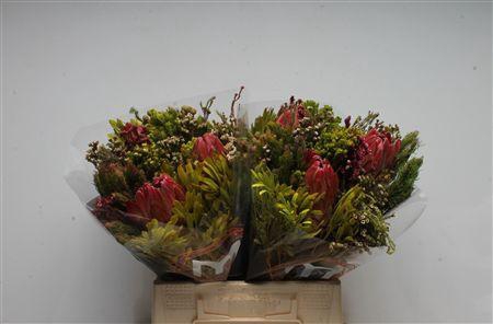 <h4>Bq Carousel Silvia</h4>