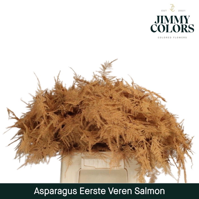<h4>Aspa 1ste veren Salmon</h4>