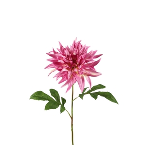 Dahlia 73cm