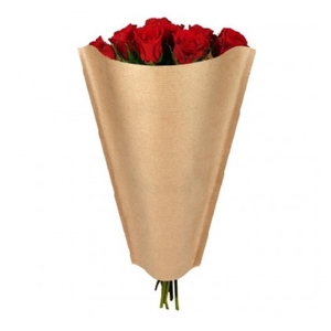 Hoezen Kraft 50*25*10cm x1500