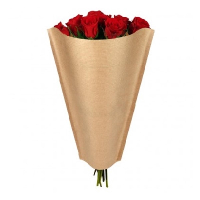 <h4>Hoezen Kraft 50*25*10cm x1500</h4>